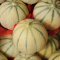 Muskmelon Fruit Preparation
