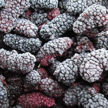 Frozen Mullberries (Indian