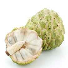 Custard Apple