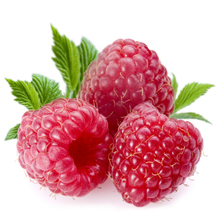 Raspberry