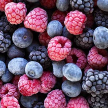 Frozen Sweet Berries