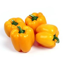 Yellow Capsicum